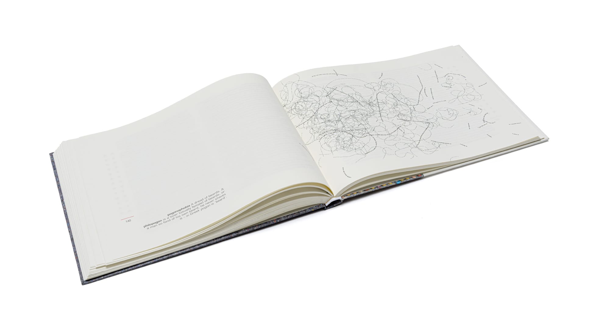 No Dictionary The Oh No! Dictionary by Willem Boshoff | Strauss & Co