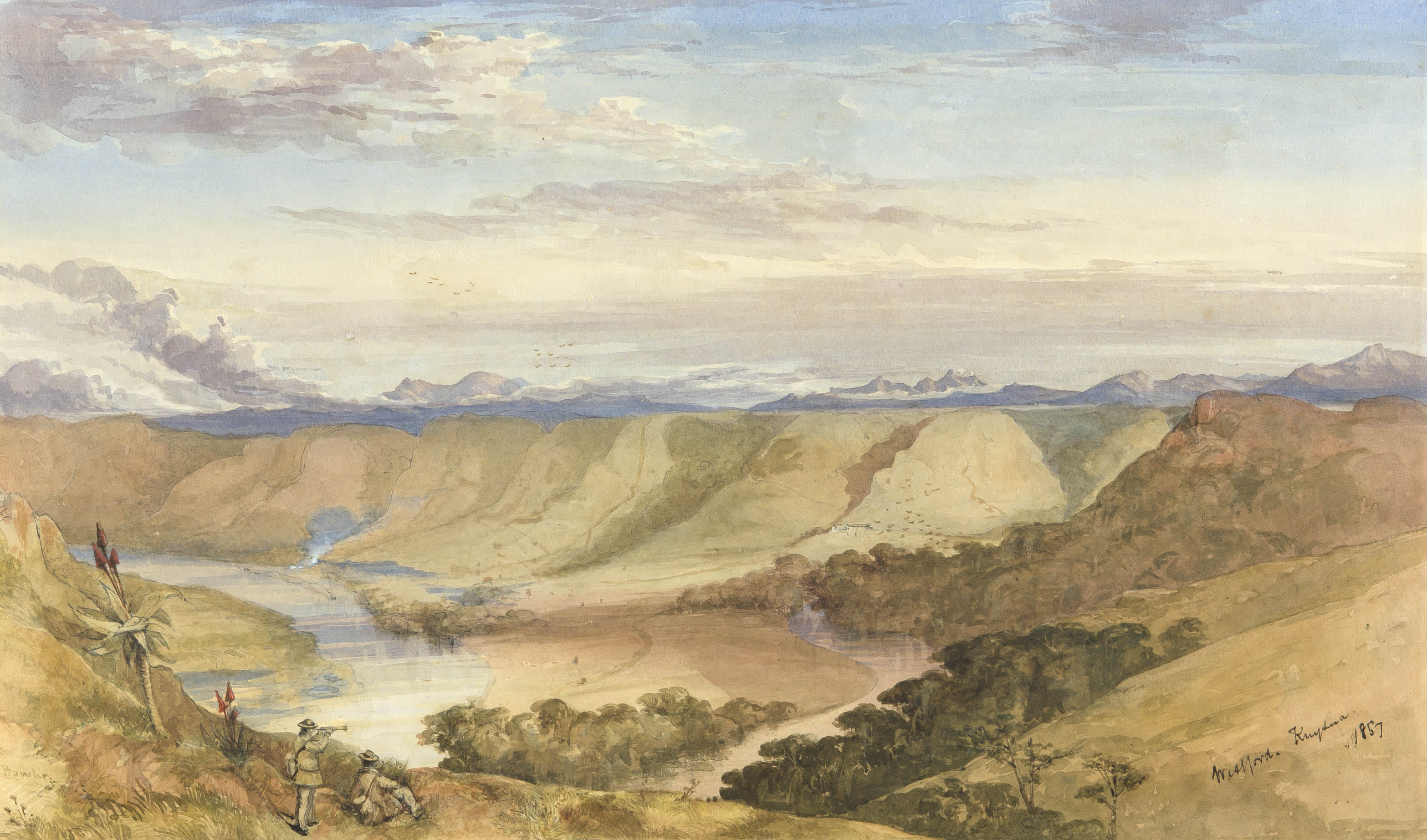 Thomas Bowler Thomas Bowler; Westerford Knysna | Strauss & Co