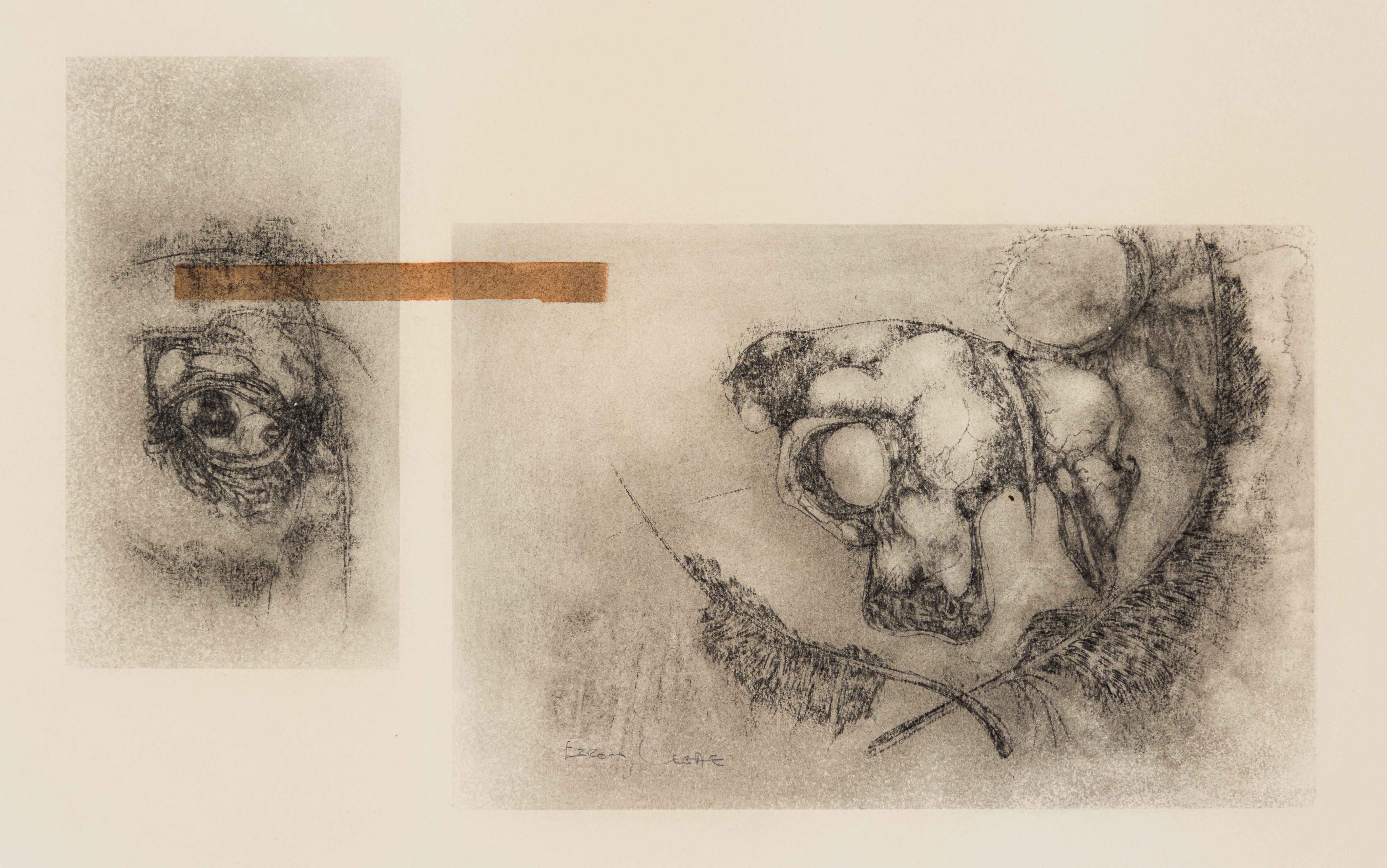 Eye Skull and Feathers by Ezrom Legae | Strauss & Co
