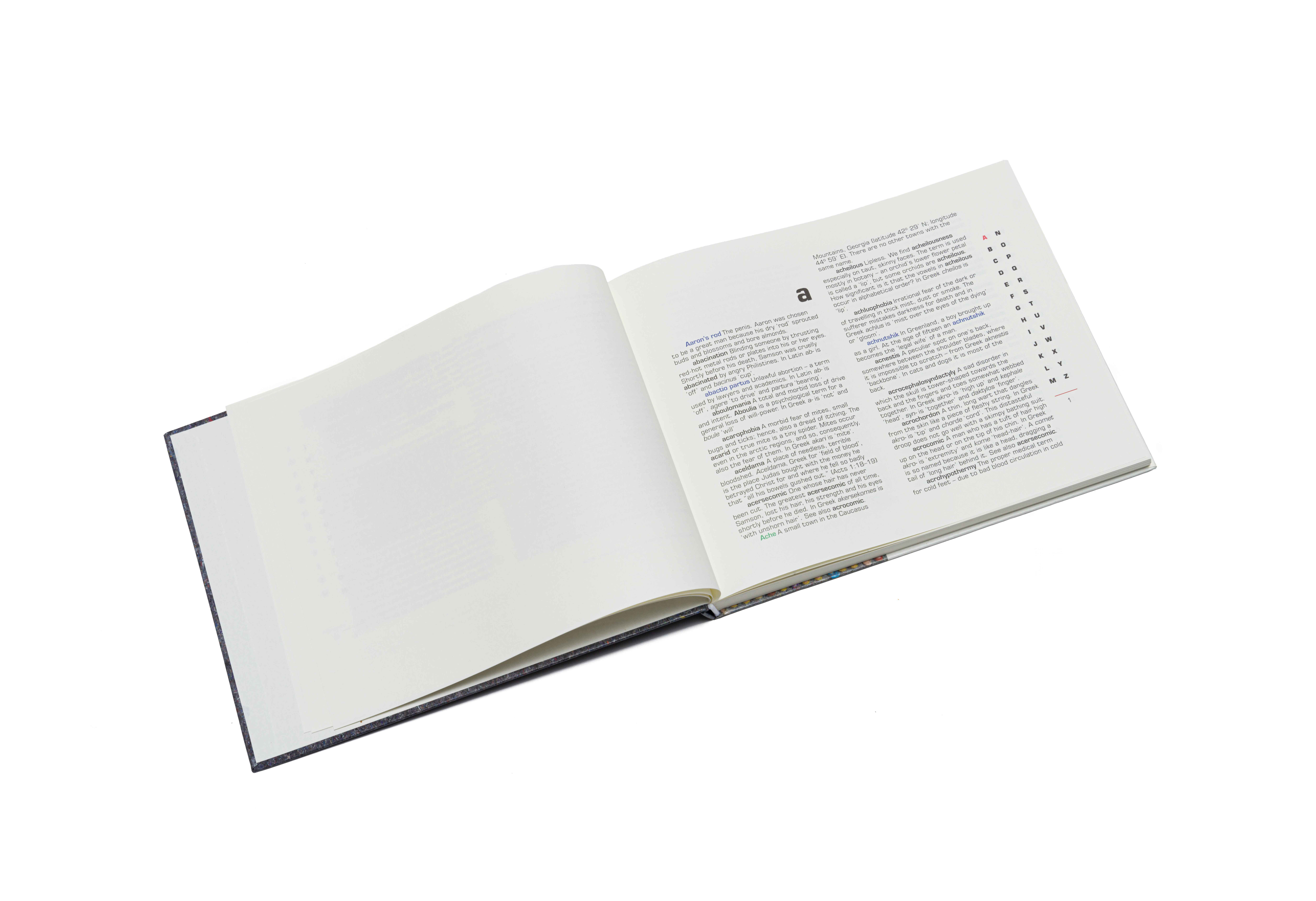 No Dictionary Lot 50 | Strauss & Co