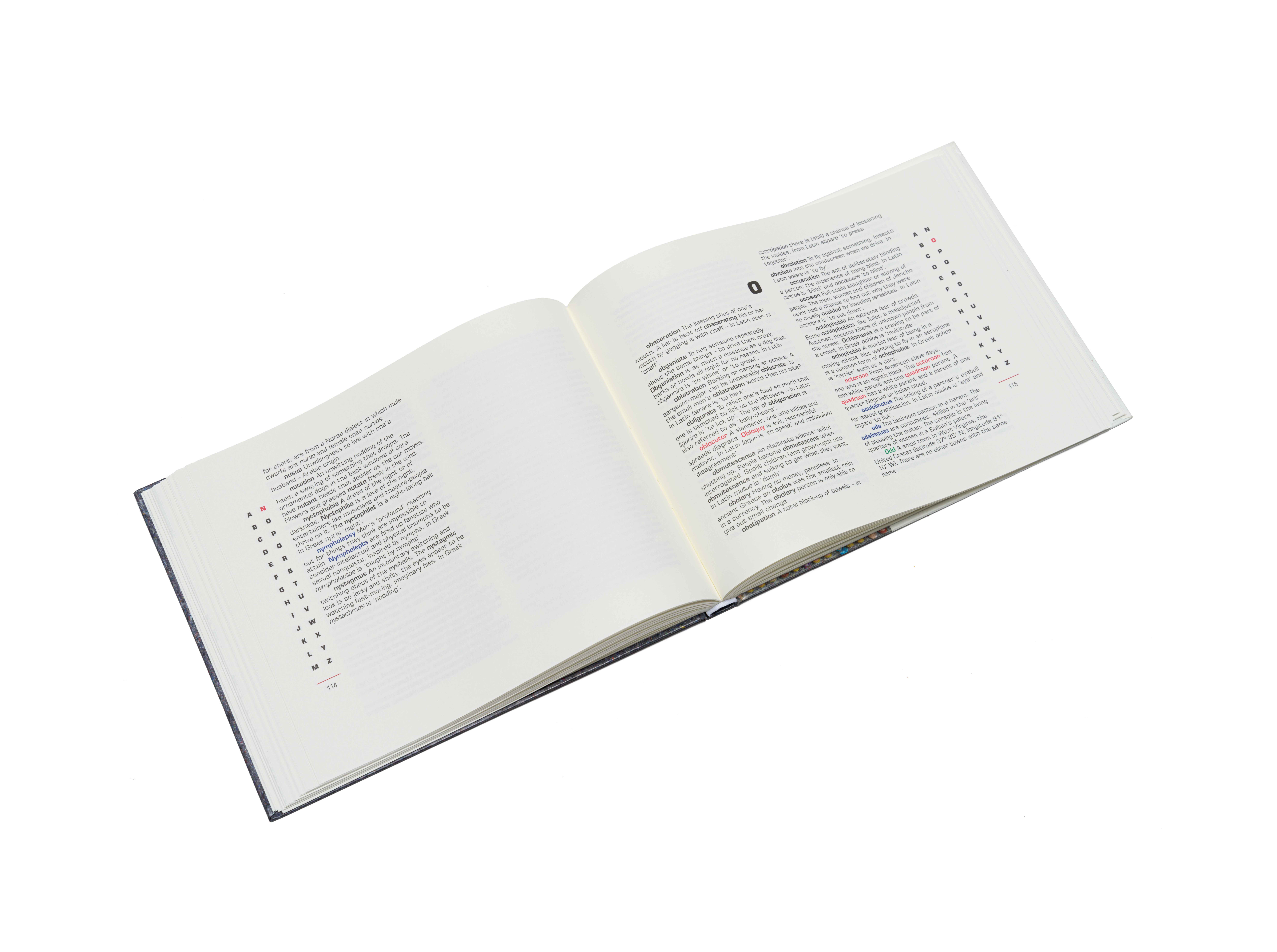 No Dictionary Lot 50 | Strauss & Co