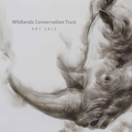 Wildlands Conservation Trust Art Sale