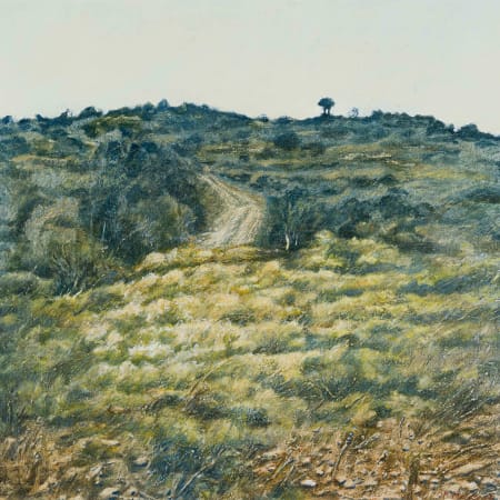 Horizons: Selected South African Landscapes and Seascapes