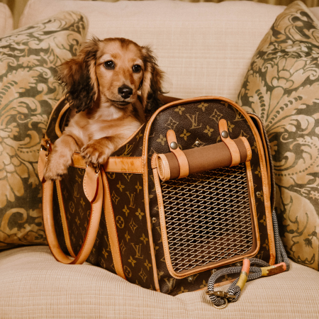 The Luxury Edit: Designer Handbags and Accessories