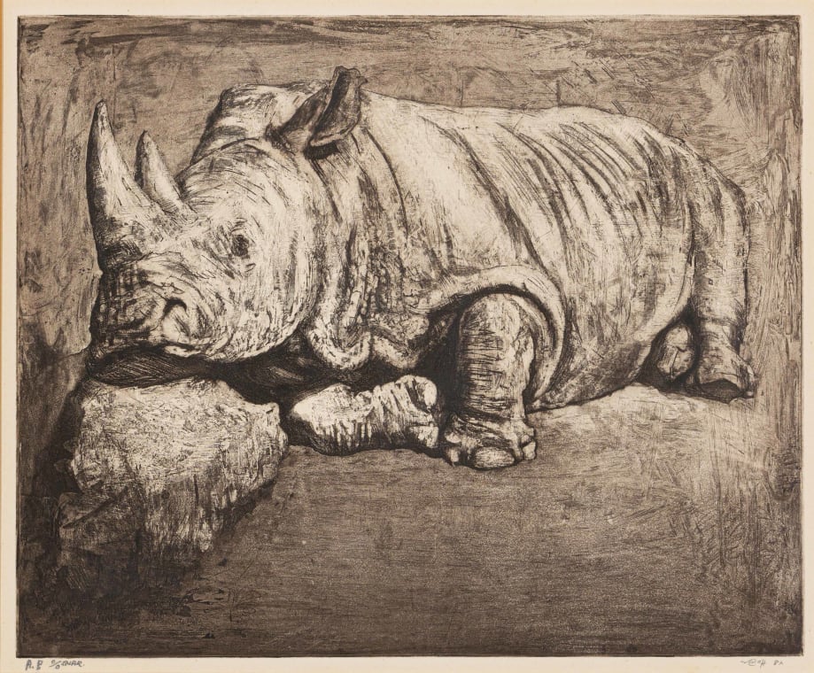 Resting Rhinoceros by Zakkie Eloff | Strauss & Co