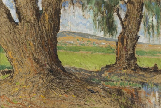 Pieter Wenning; Willow Trees (Meintjieskop), Pretoria