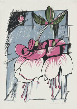 Ernst de Jong; Fuchsias