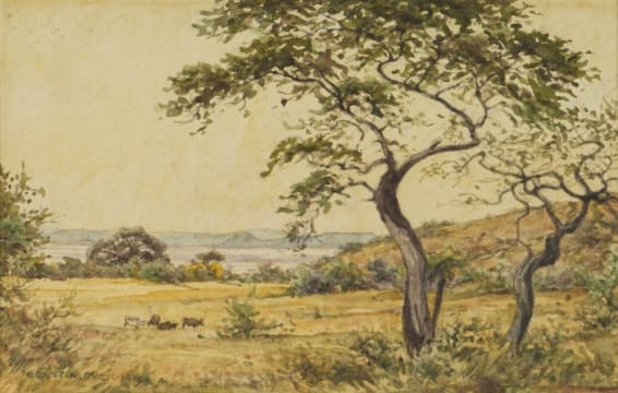 Erich Mayer; Potgietersrus District
