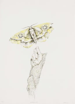 Judith Mason; Mothmask II