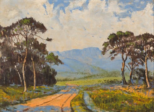 Daan Vermeulen; Mountain Landscape