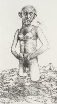 Julia Teale, Chris Diedericks, Judy Woodborne; Exquisite Corpse, Adam # 2