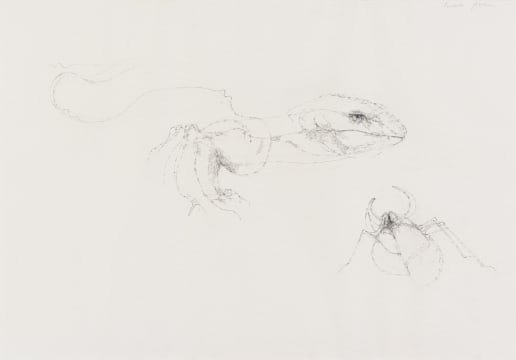 Judith Mason; Predator