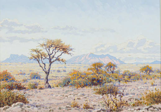 Johannes Blatt; Namibian Landscape I