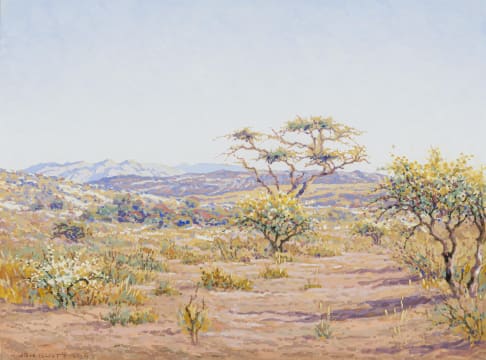 Johannes Blatt; Namibian Landscape II