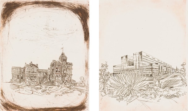 Dirk Meerkotter; Johannesburg Hospital Centenary – The Old and New Buildings, two