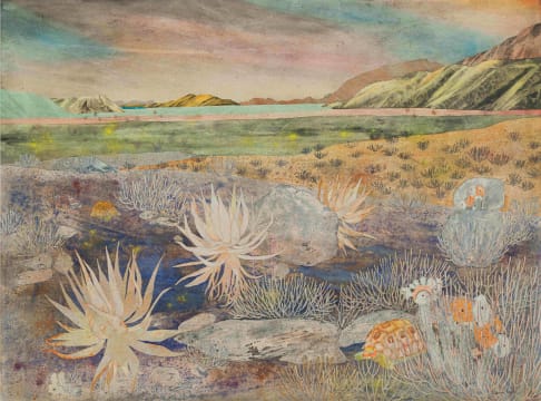 Catherine Paynter; Agterveld