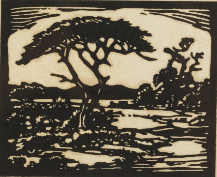 Jacob Hendrik Pierneef; Thorn Tree, Warmbaths (Nilant 61)