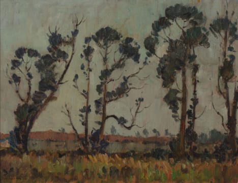 Piet van Heerden; Windswept Trees