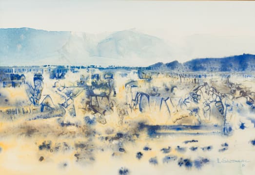 Ulrich Schwanecke; In the Kaap Valley (Near Barberton)