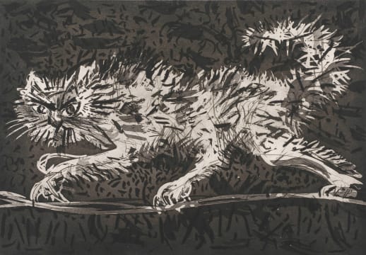 William Kentridge; Another Cat
