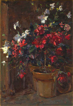 Adriaan Boshoff; Potted Azalea Plants
