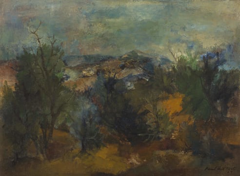 Paul du Toit; Landscape through the Bushveld