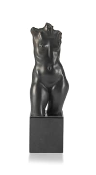 Tienie Pritchard; Female Torso