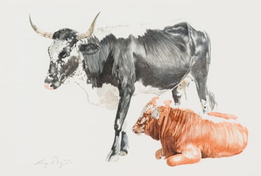 Leigh Voigt; Nkone and Calf