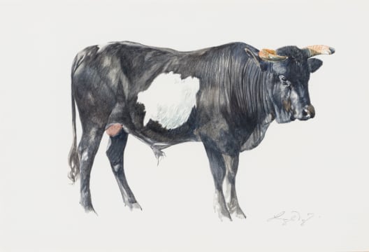 Leigh Voigt; White Spot