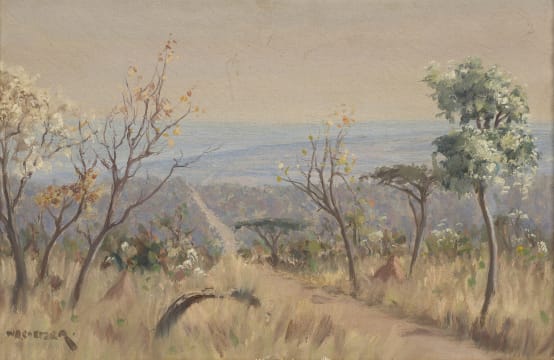 Willem Hermanus Coetzer; Bushveld Landscape