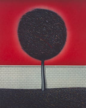 Norman Catherine; Apocalypse