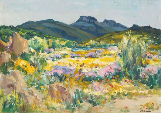 Hugo Naudé; Namaqualand