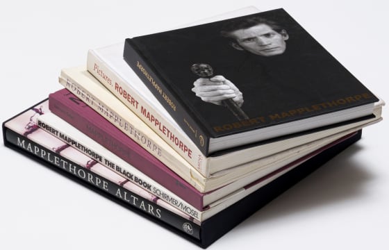 Various Authors; Robert Mapplethorpe