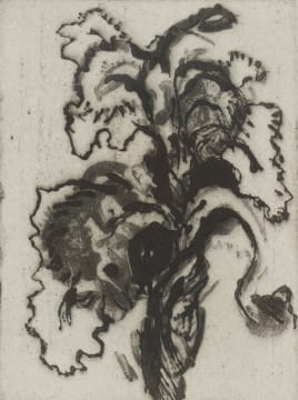 William Kentridge; Iris