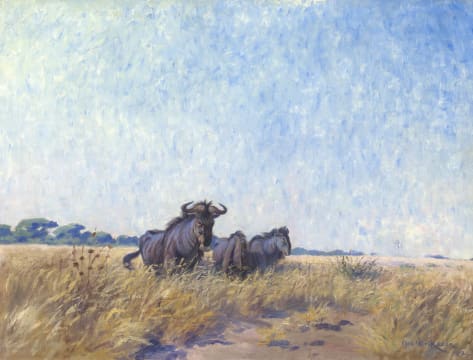 Axel Eriksson; Blue Wildebeast