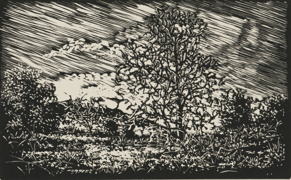 Jan Maanda Tshikhuthula; Winter Study V