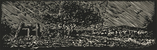 Jan Maanda Tshikhuthula; Winter Study (II)