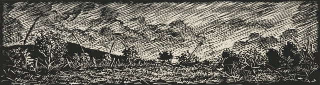 Jan Maanda Tshikhuthula; Winter Study (VI)