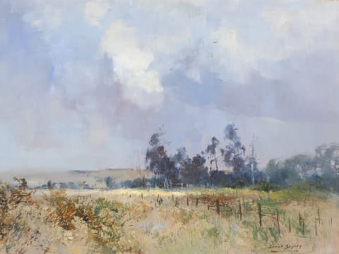 Errol Boyley; Landscape