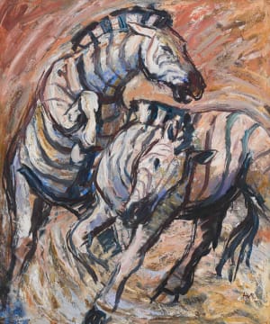 Hennie Niemann Jnr; Fighting Zebras