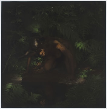 Nandipha Mntambo; Narcissus