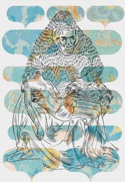 Conrad Botes; Foreign Body