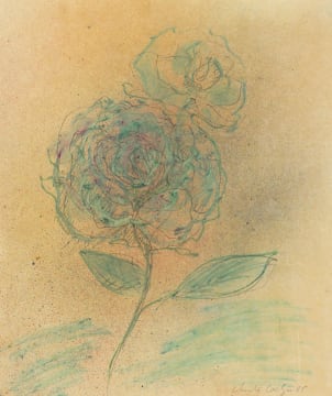 Christo Coetzee; Roses