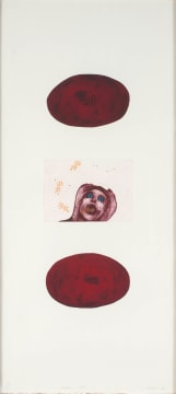 Penny Siopis; Shame Pools