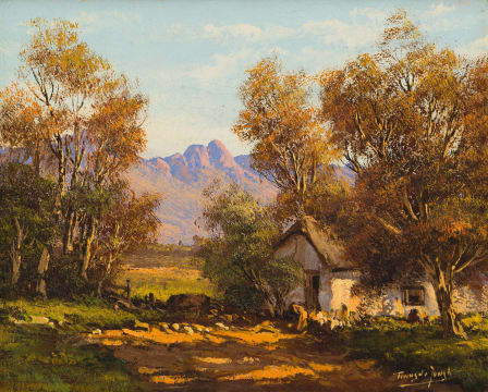 Tinus de Jongh; Cape Farm
