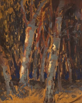 Nita Spilhaus; Trees, recto; Lake Garda, verso