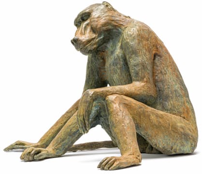 Donald Greig; Baboon