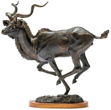 Arend Eloff; Running Kudu