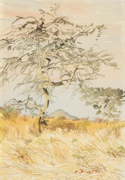Adolph Jentsch; Namibian Lanscape