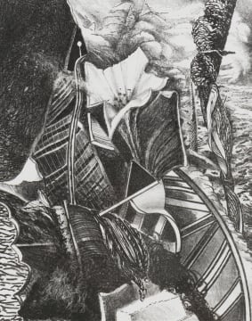 Karel Nel; Boat of the Oblivious Bloom